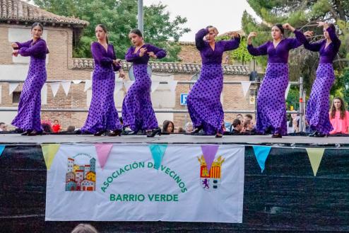 Fiestas Barrio Verde
