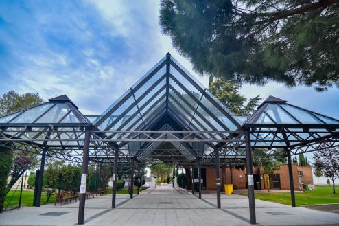 Día de Todos los Santos