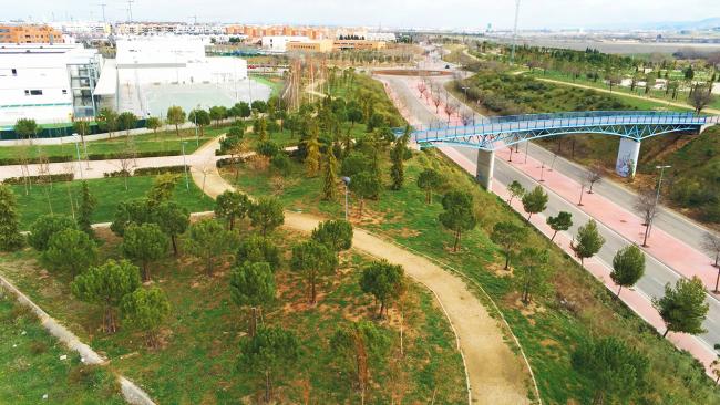 Bosque urbano Torrejón de Ardoz
