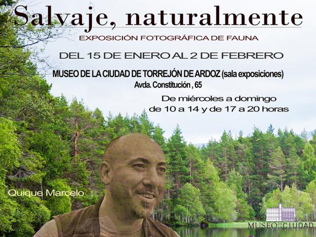 Exposiciones