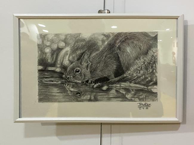 Exposiciones