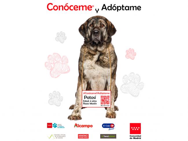 Campaña “Conóceme y Adóptame” 