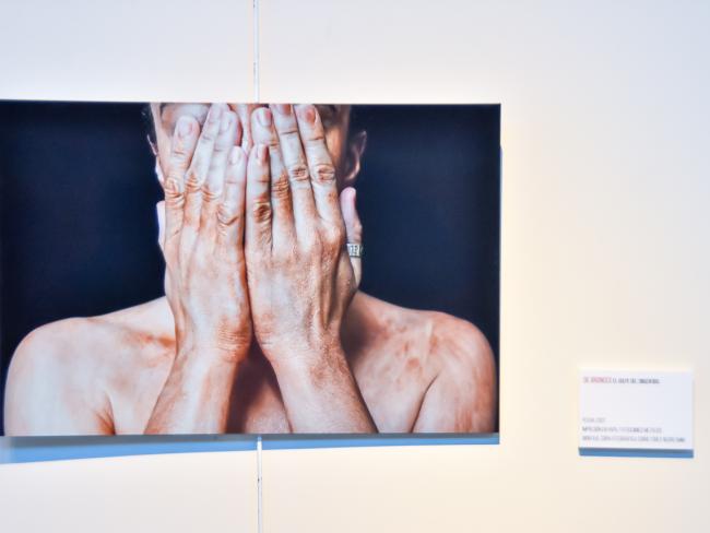 Exposiciones