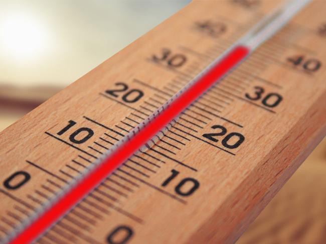 Ola de calor