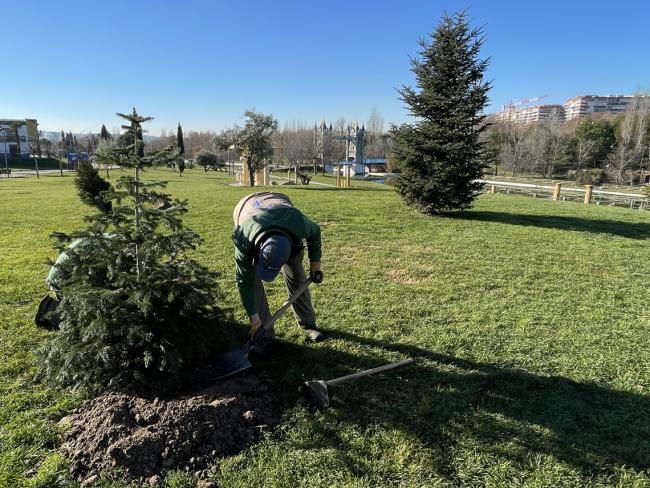 Árboles navideños